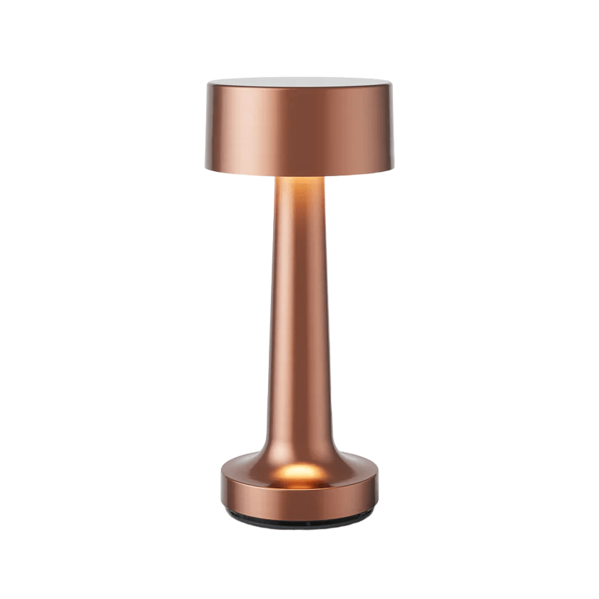 LED Table Lamp with Metal Modern Design