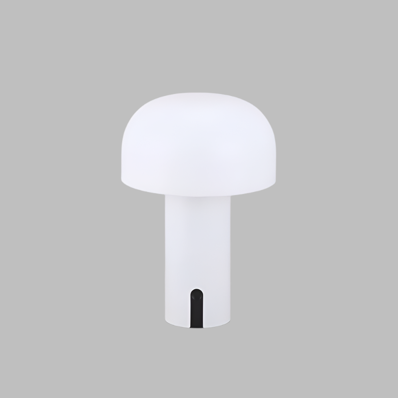 Table Lamp Modern Wireless Touch Light