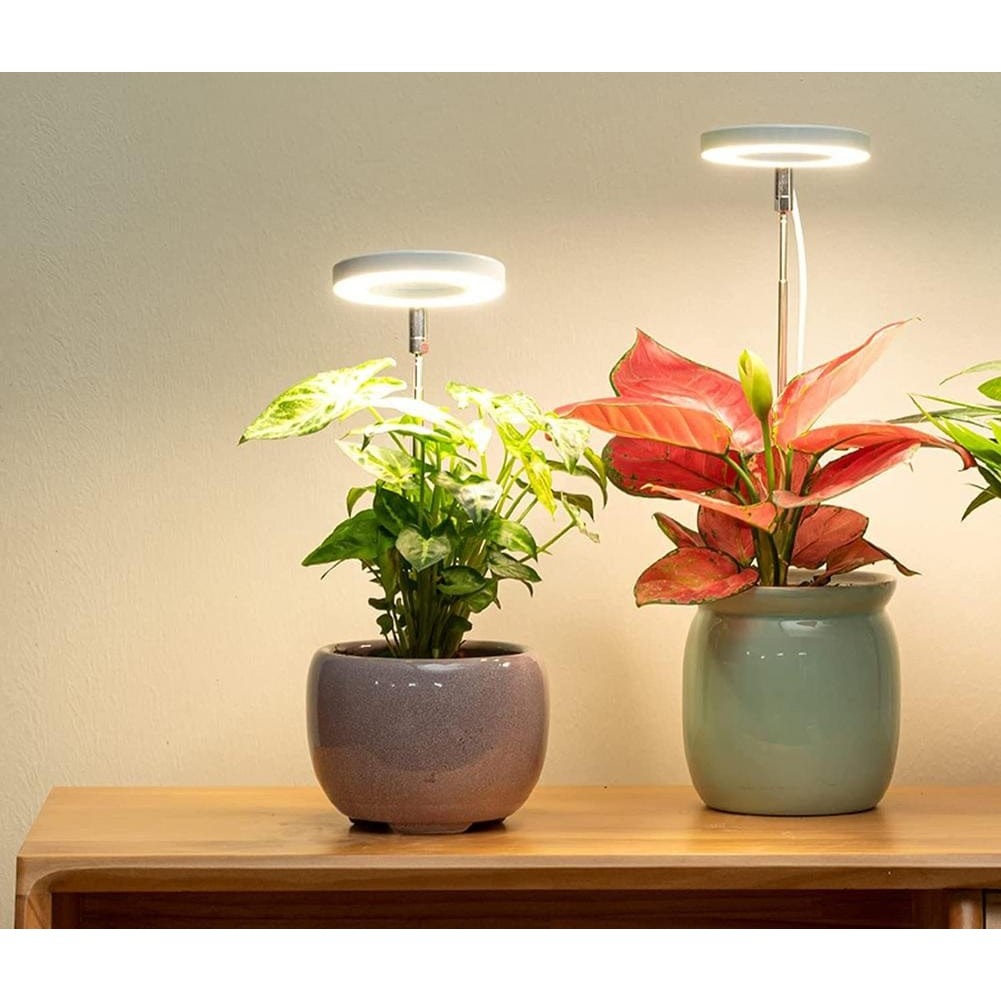 Adjustable LED Grow Light for Indoor Plants – Full-Spectrum Lighting with Timer and Customizable Brightness 0