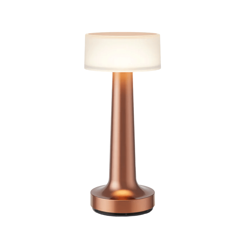 LED Table Lamp with Metal Modern Design