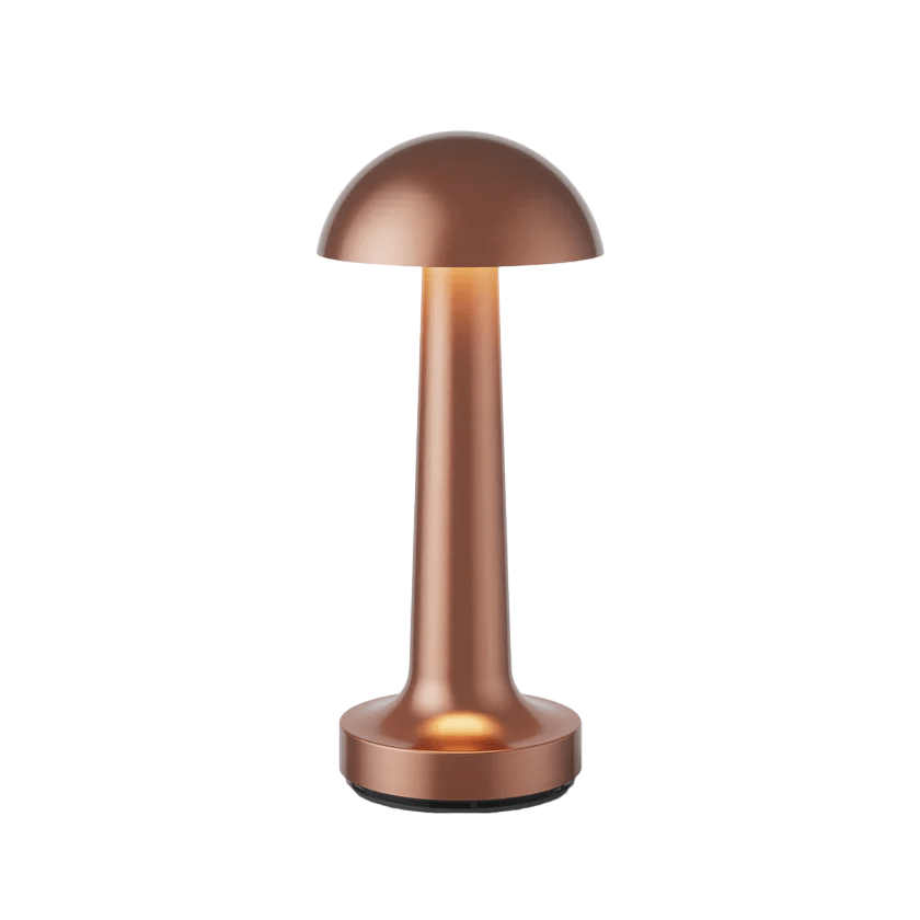 LED Table Lamp with Metal Modern Design