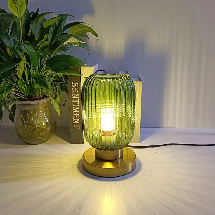Table Lamp with Modern Glass Shade & Iron Frame